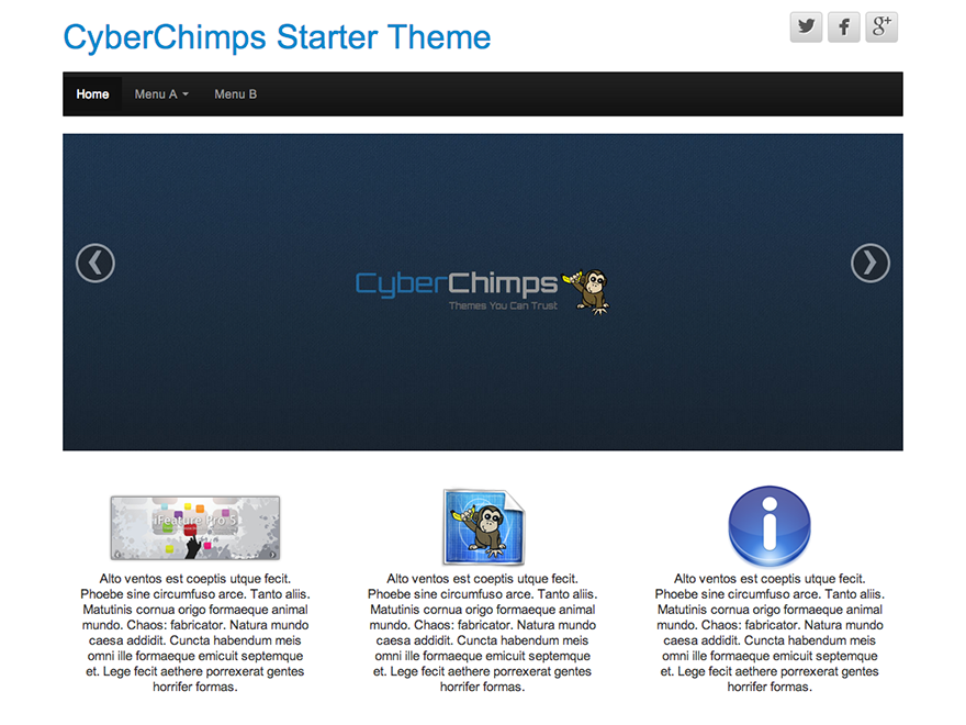 Cyberchimps Theme WordPress